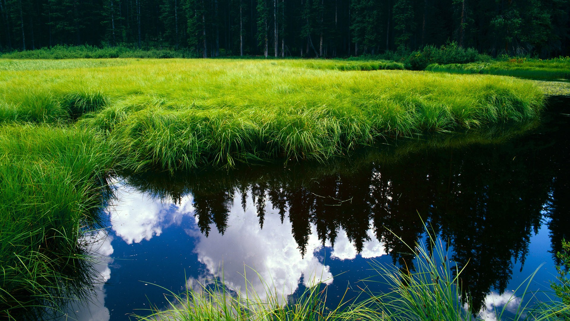 _虚拟实境赛车:挑战速度极限_,虚拟世界赛车的电影
