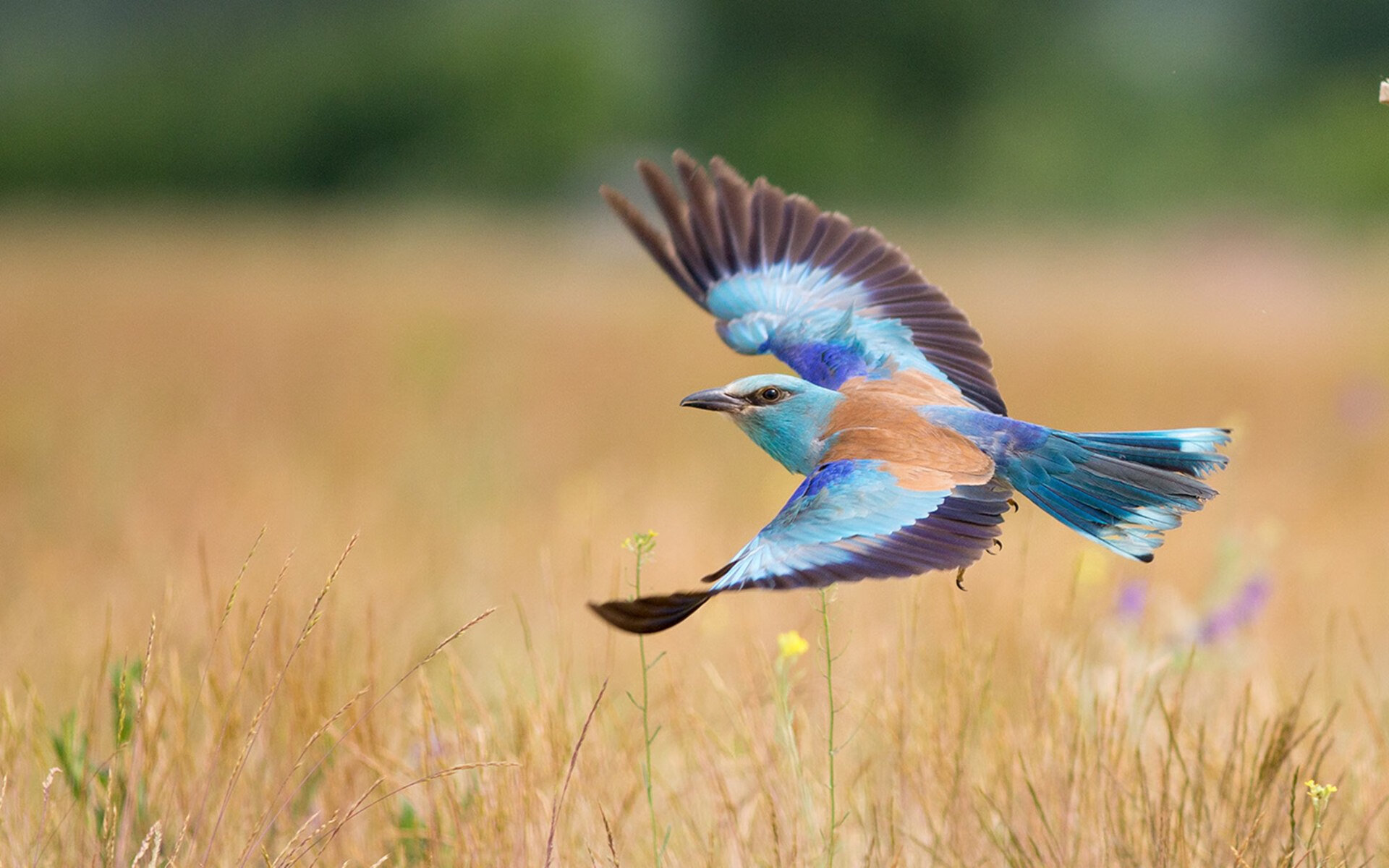 “青春领跑”青少年篮球新秀训练营在天津落地,天津青年篮球队
