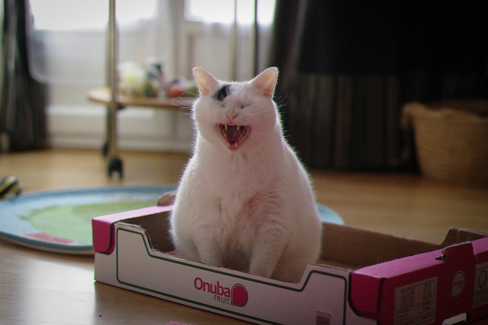 中国篮球技术训练系统创新,为青少年提升助力,中国青少年篮球教学训练指导手册