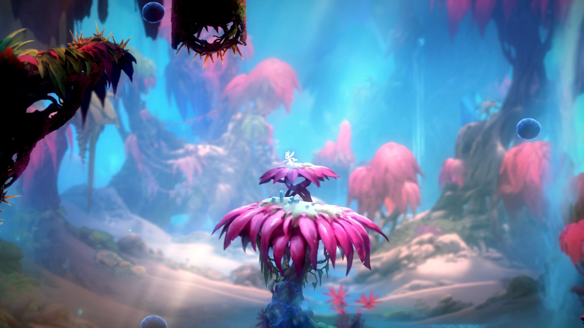 库里：跨越“投篮极限”，定义NBA投射新纪元！，库里最新投篮训练