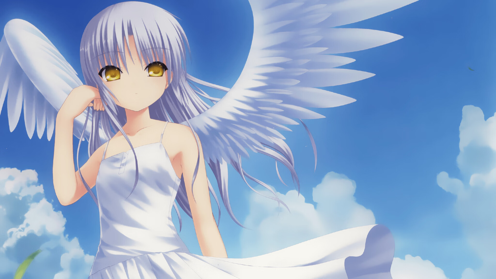 瑞士马术协会举办国际马术科技大会，推动行业技术交流与合作。