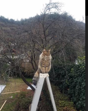 C9携手教育机构推广电竞文化，校园电竞推广