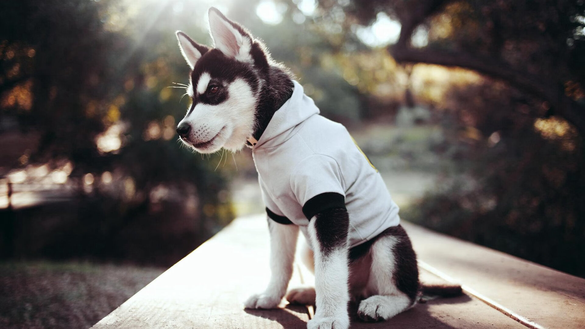 高校体育课程模块化设计与实践研究，国内高校体育课程现状