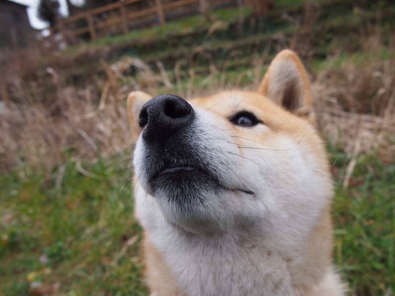 “皇马稳健出线,曼城险遭冷门”