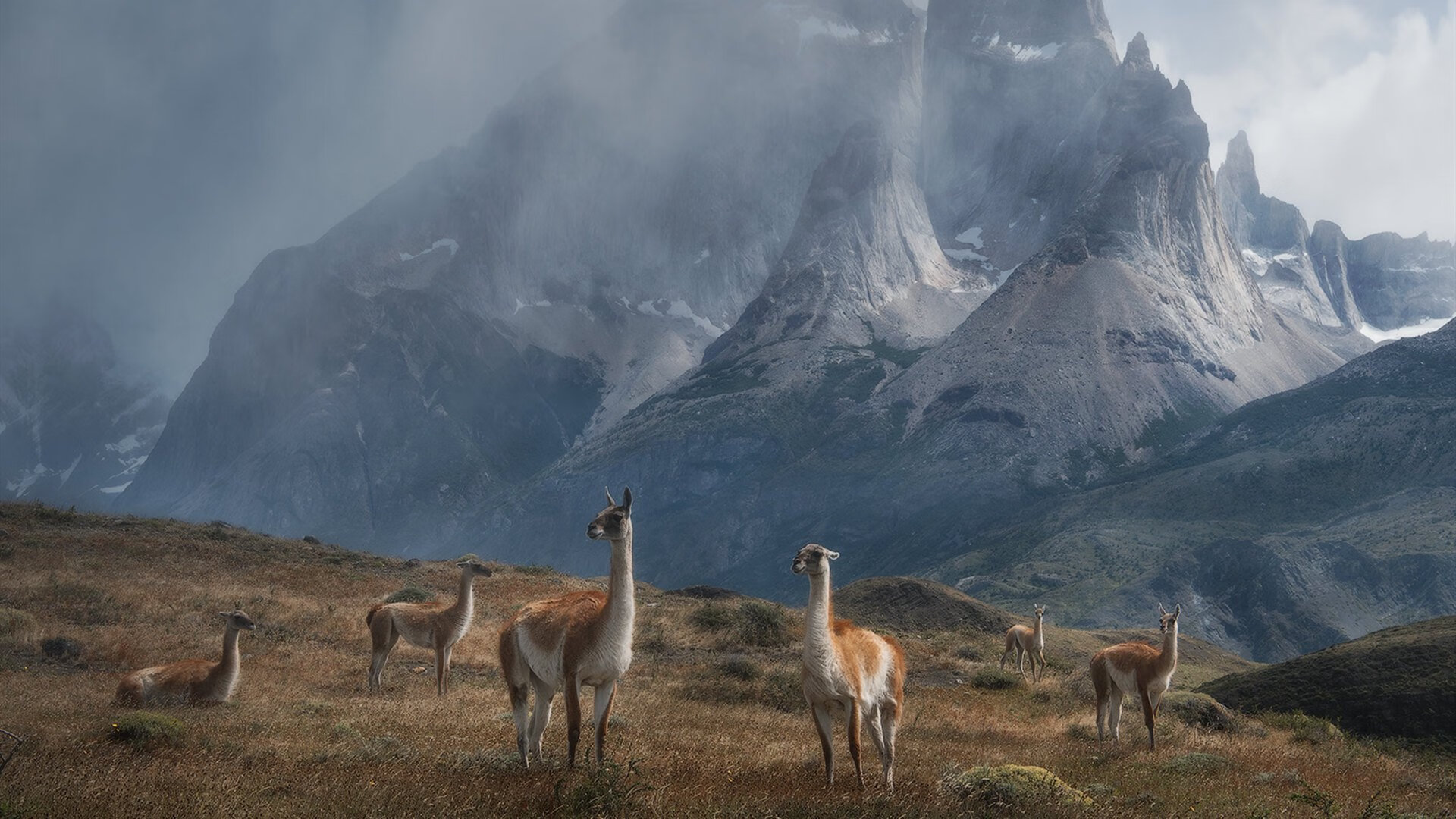 东亚杯中国女足夺冠 球员表现赢得好评，2019年东亚杯女足
