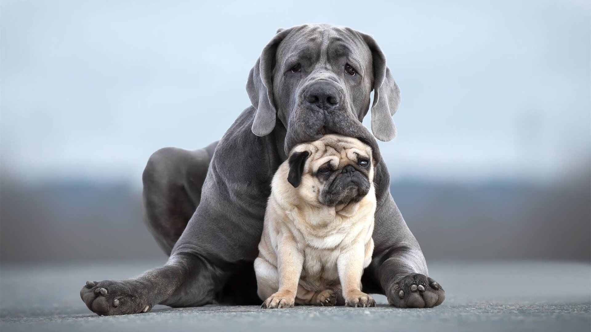 中超联赛国足战胜 球员心理素质考验，国足在中超什么水平