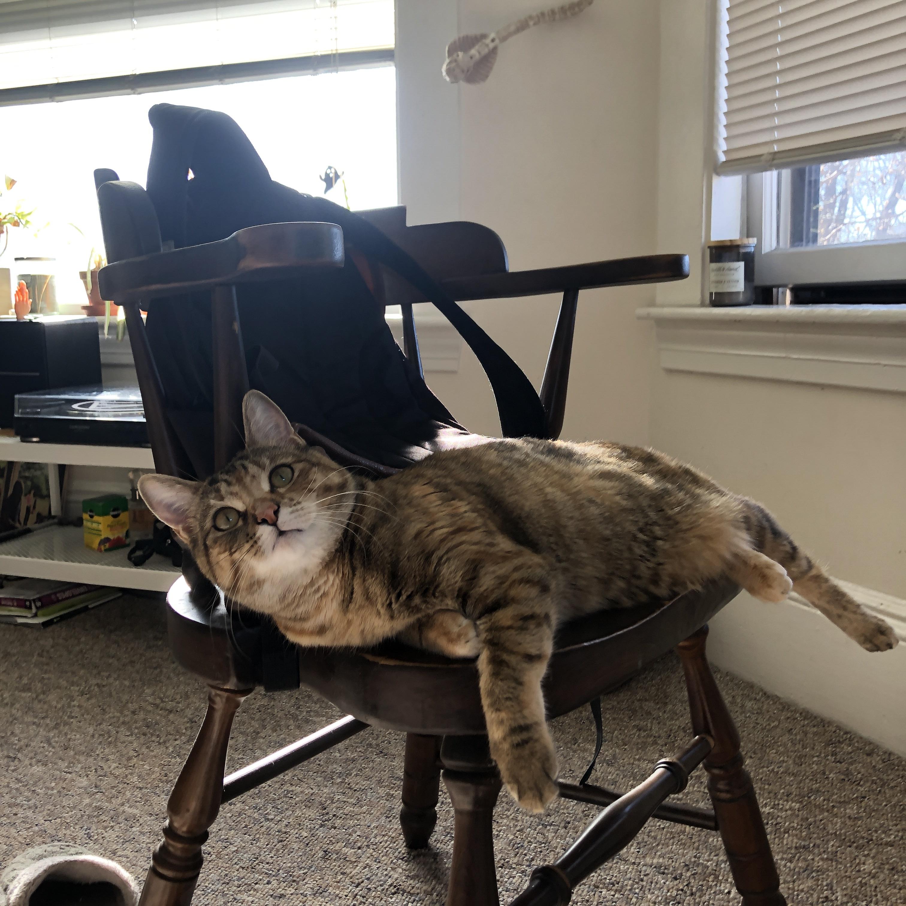 球员自媒体崛起带动篮球内容生态爆发，篮球自媒体怎么赚钱