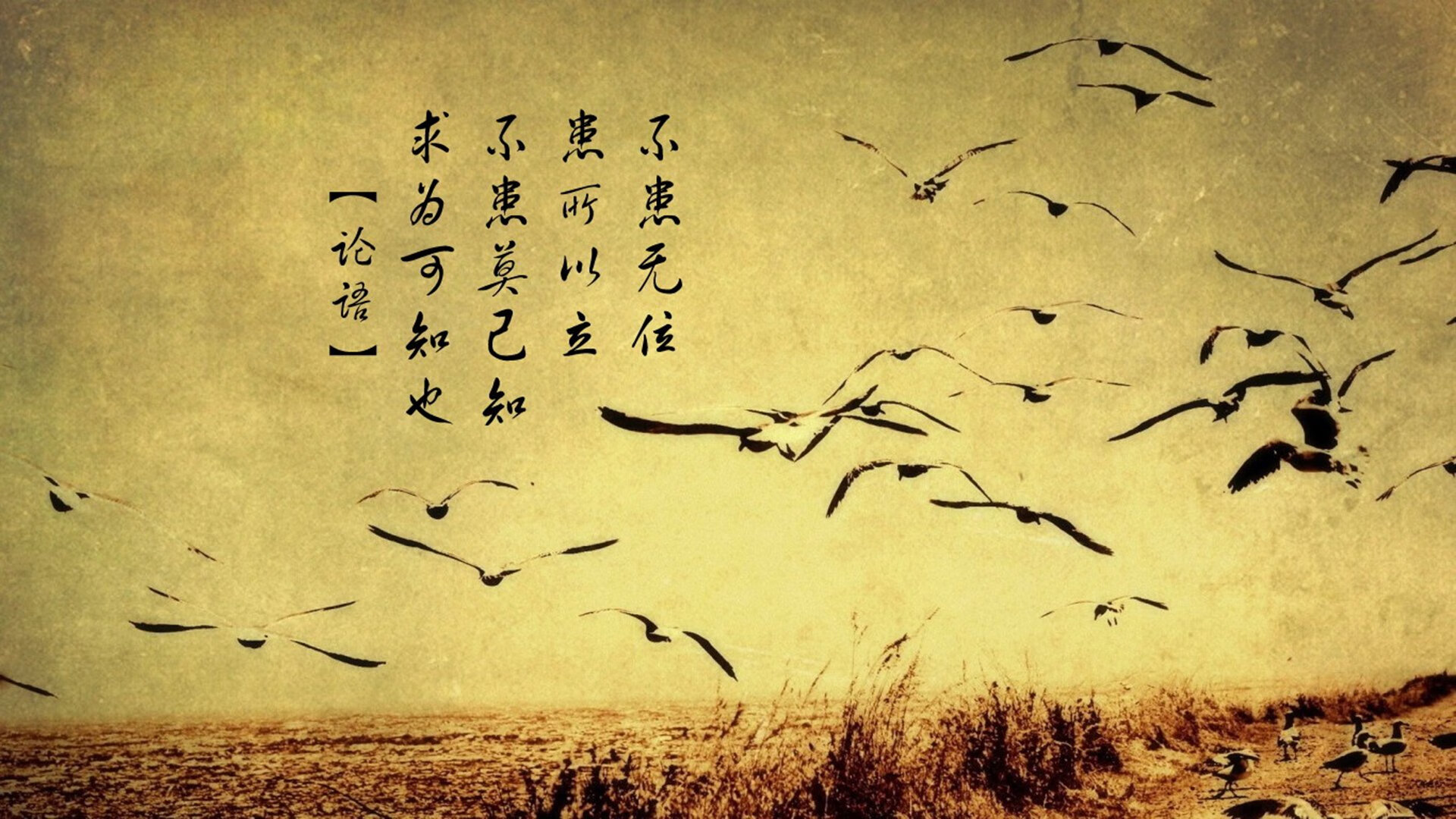 职业联赛观赏性下降影响市场吸引力，职业联赛靠什么赚钱