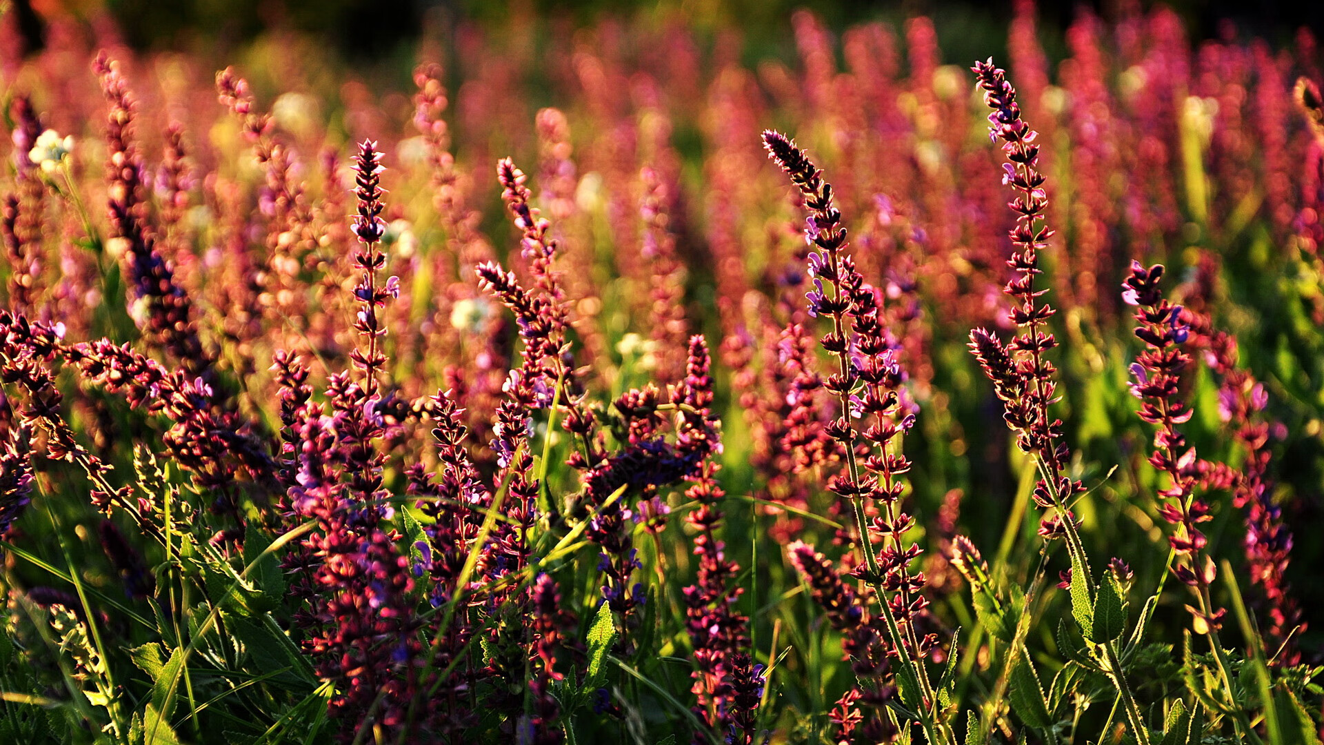 女篮加强队内沟通机制提高临场协作效率
