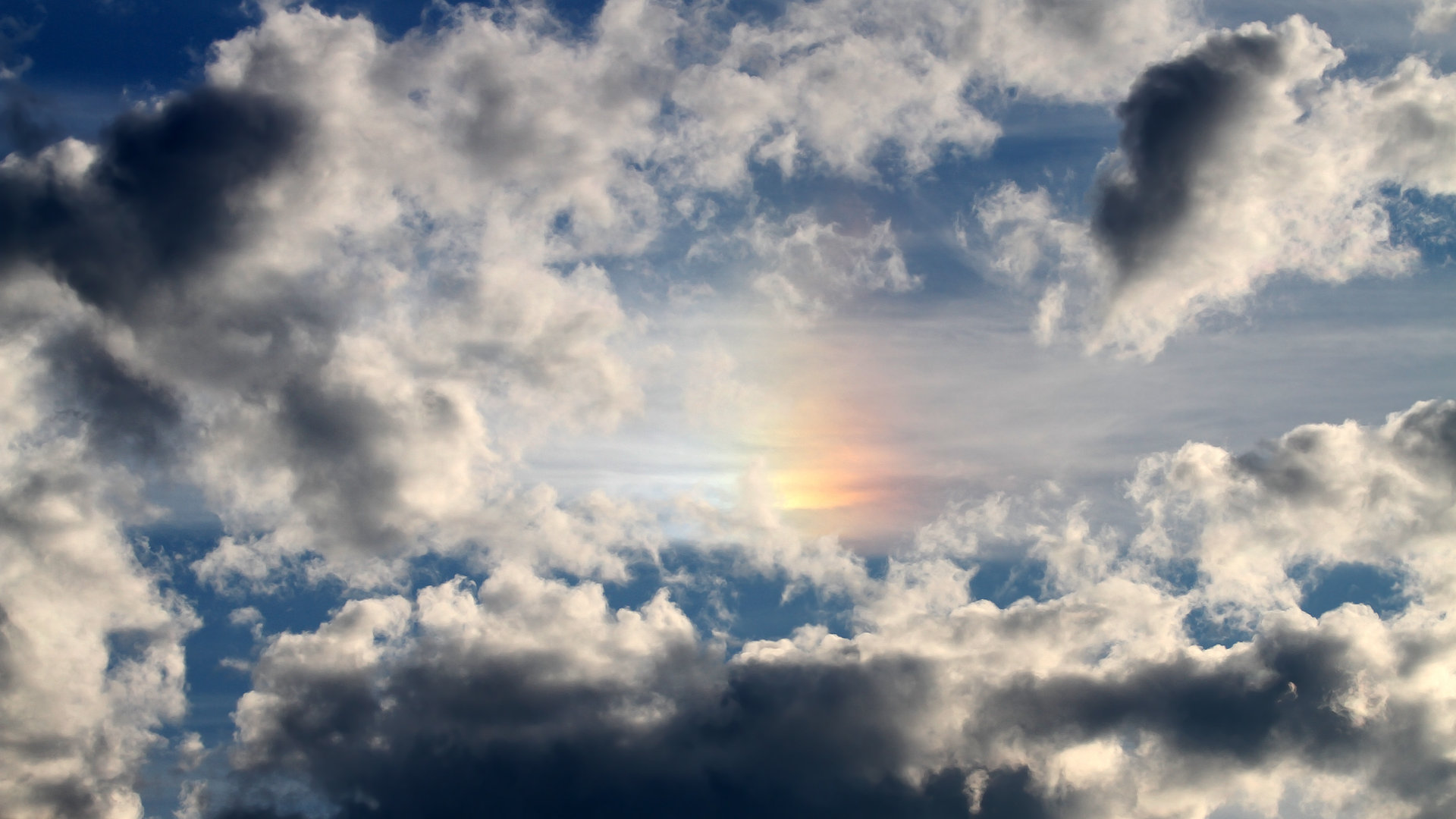 张雨霏突破自我刷新个人最好成绩，张雨霏如何走向巅峰