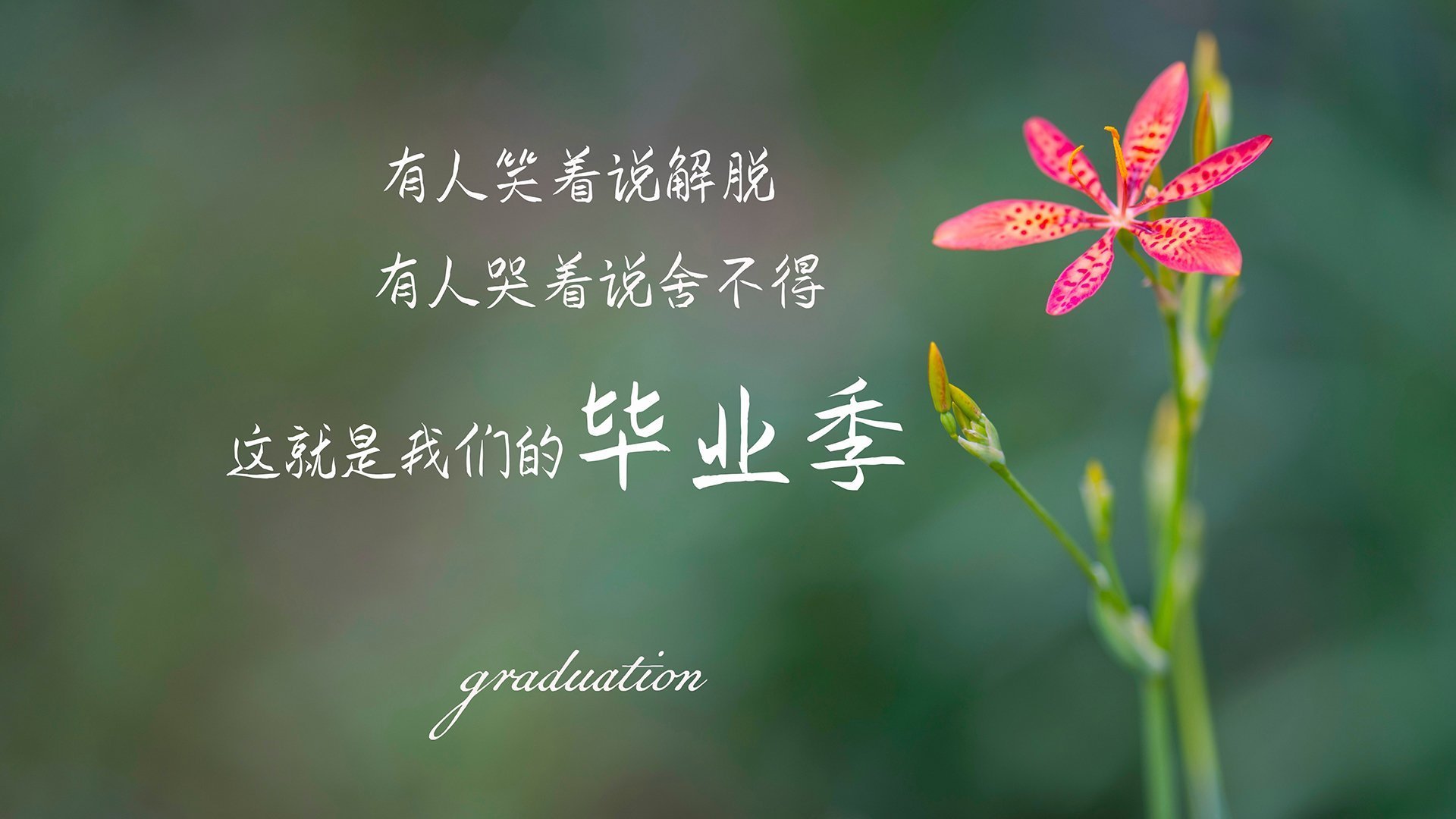 曹缘3米跳板决赛冲刺阶段表现抢眼，曹缘十米跳台