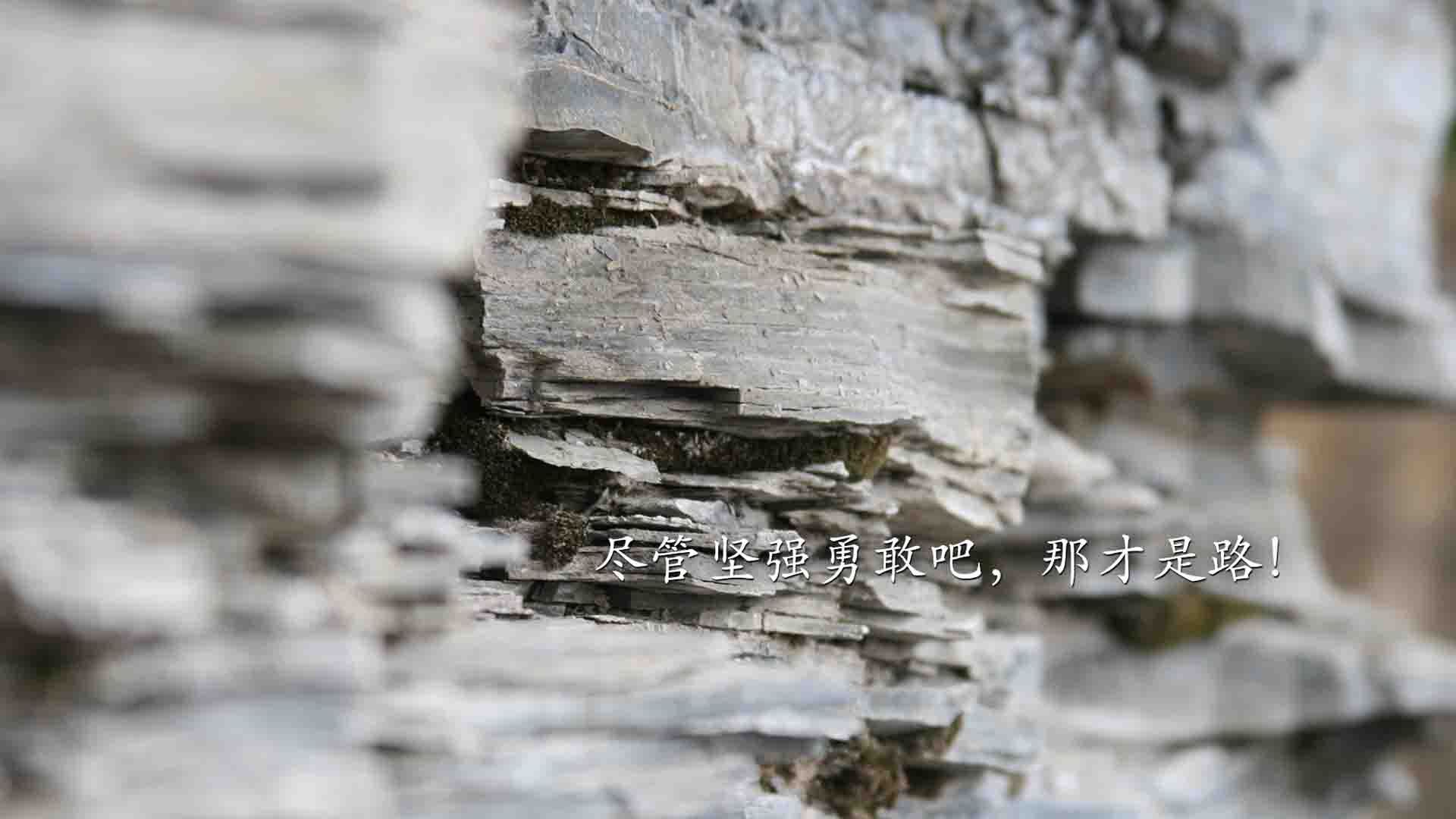 曹缘3米跳板决赛冲刺阶段表现抢眼，曹缘十米跳台