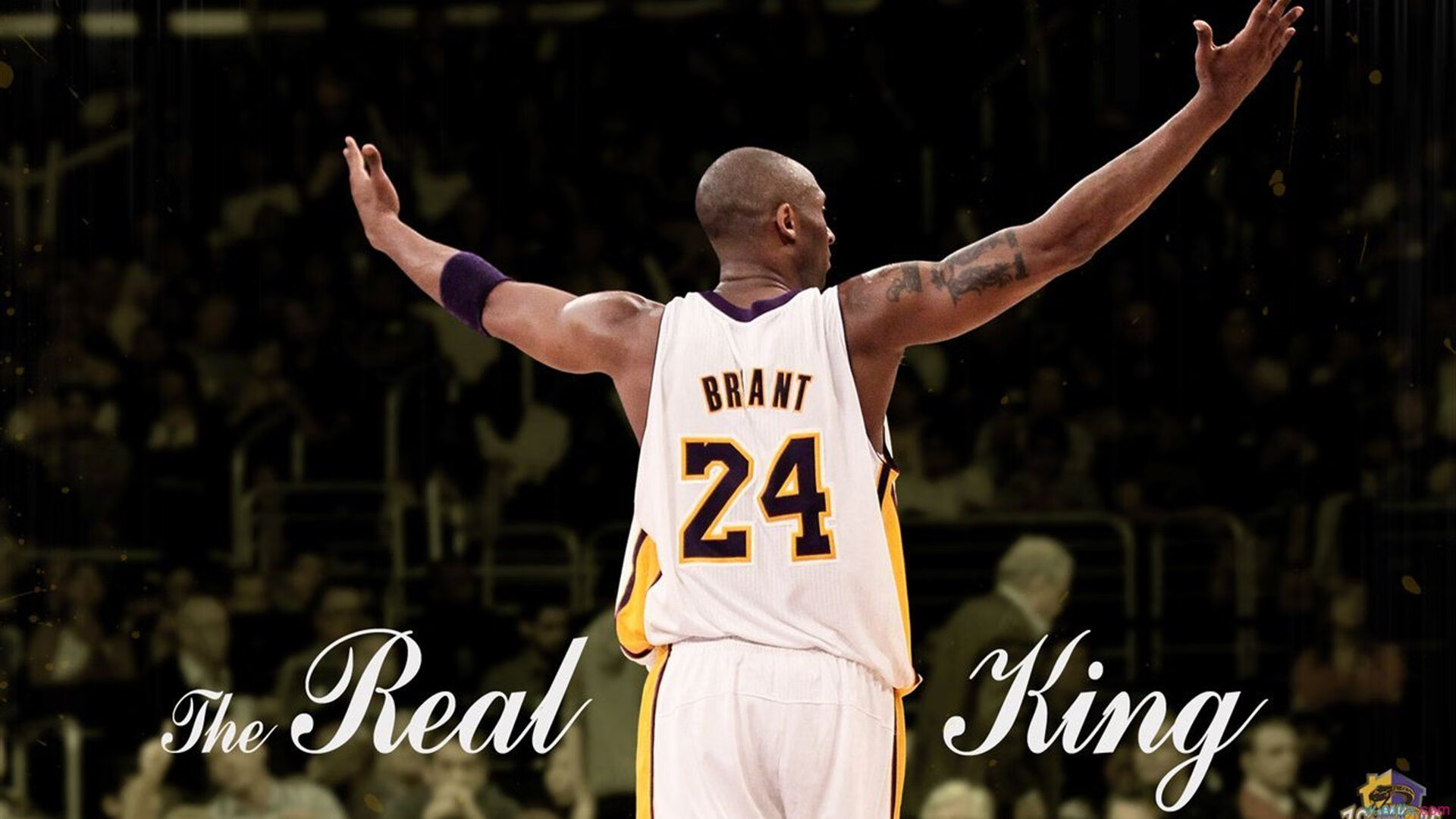 “火爆现场：粉丝呐喊助威，主场气氛爆棚”，粉丝呐喊图片